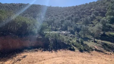 Rustic farm in Fuente Obejuna photo 19