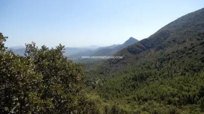 Rustic Finca in Benigembla photo 20
