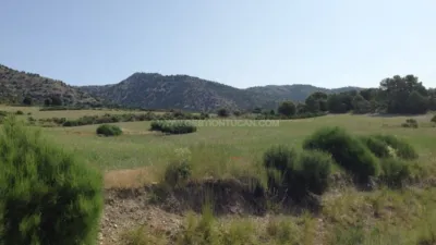 Rustic Finca in Nerpio photo 7