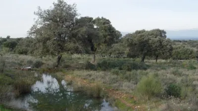 Rustic Finca in Serrejon photo 12