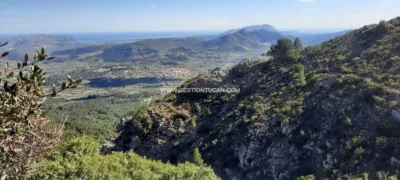 Rustic Finca in Benigembla photo 3