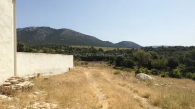 Rustic Finca in Nerpio photo 5