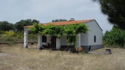 Rustic Finca in Serrejon photo 4