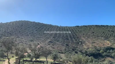Rustic farm in Fuente Obejuna photo 20