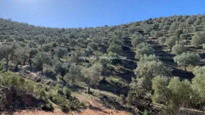 Rustic farm in Fuente Obejuna photo 18