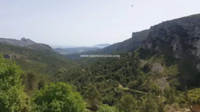 Rustic Finca in Benigembla photo 4