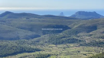 Rustic Finca in Benigembla photo 17