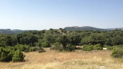 Rustic Finca in Nerpio photo 2