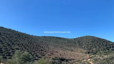 Rustic farm in Fuente Obejuna photo 15