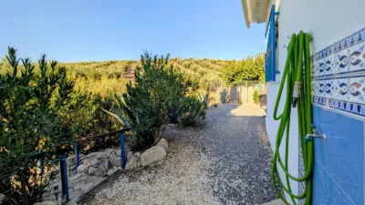 House on Calle Realenga de Agicampe photo 16
