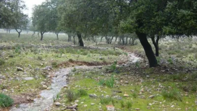 Rustic Finca in Serrejon