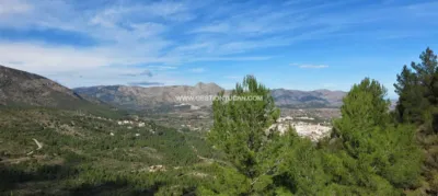 Rustic Finca in Benigembla photo 2