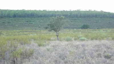 Rustic Finca in Serrejon photo 14