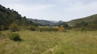 Rustic Finca in Benigembla photo 12