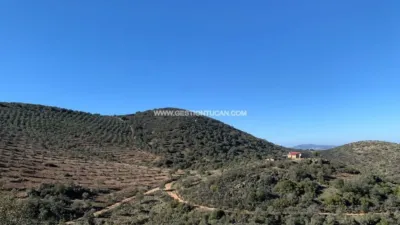 Rustic farm in Fuente Obejuna photo 13