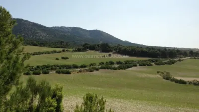 Rustic Finca in Nerpio photo 6