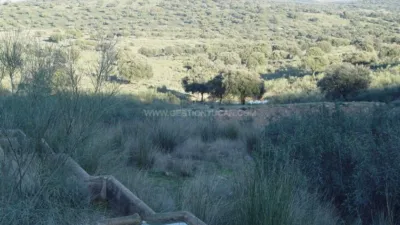 Rustic Finca in Serrejon photo 9