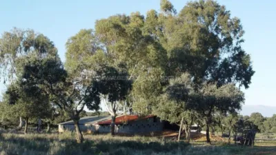 Rustic Finca in Serrejon photo 5