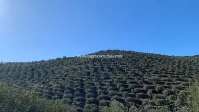 Rustic farm in Fuente Obejuna photo 17