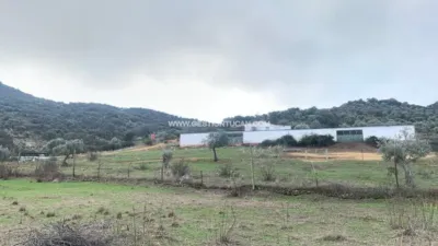 Rustic farm in Fuente Obejuna photo 10