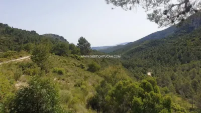 Rustic Finca in Benigembla photo 8