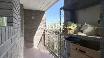 Apartment on Paseo de La Cuba photo 6