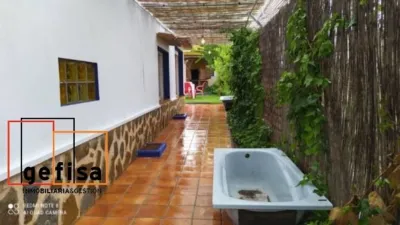 Miniatura 8