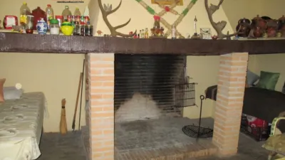 Miniatura 11