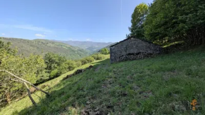 Rustic farm on Calle Hornedillo, No. 2247 photo 23
