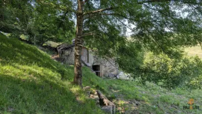 Rustic farm on Calle Hornedillo, No. 2247 photo 4