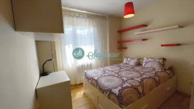 Apartment in Torrecaballeros photo 30