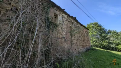 Rustic farm on Calle Alar, No. 2524 photo 10