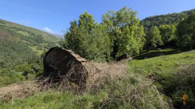Rustic farm on Calle Alar, No. 2524 photo 16