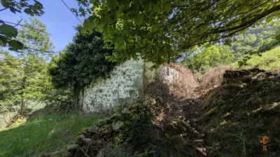 Rustic farm on Calle Alar, No. 2524 photo 23