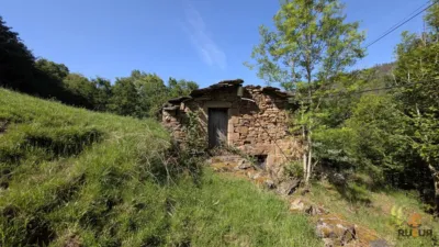 Rustic farm on Calle Alar, No. 2524 photo 24