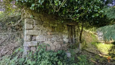 Rustic farm on Calle Alar, No. 2524 photo 26