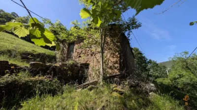 Rustic farm on Calle Alar, No. 2524 photo 3