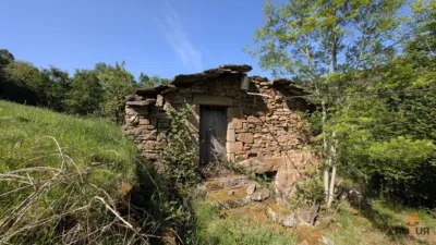 Rustic farm on Calle Alar, No. 2524 photo 6