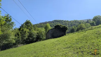 Rustic farm on Calle Alar, No. 2524 photo 7
