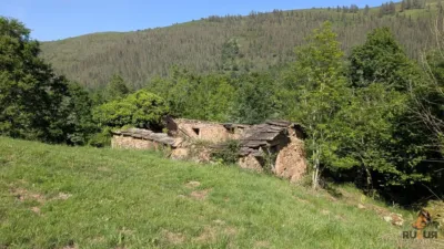 Rustic farm on Calle Alar, No. 2524 photo 9