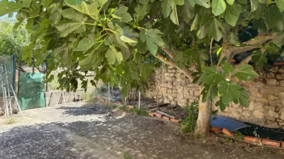 House in Barriobusto photo 24