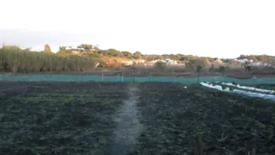 Finca rústica en El Soto photo 5
