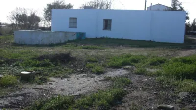 Rustic Finca in El Soto photo 11
