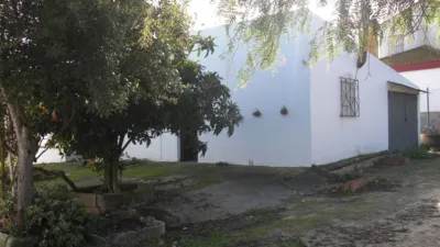 Rustic Finca in El Soto photo 13