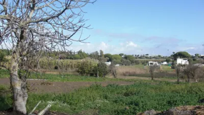 Rustic Finca in El Soto photo 2