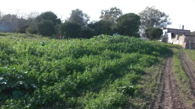 Rustic Finca in El Soto photo 6