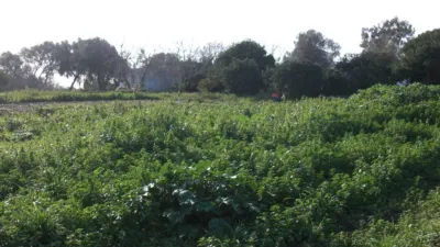 Rustic Finca in El Soto photo 7