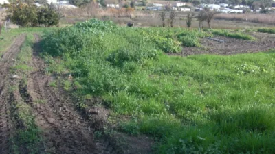 Rustic Finca in El Soto photo 8