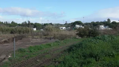 Rustic Finca in El Soto photo 9