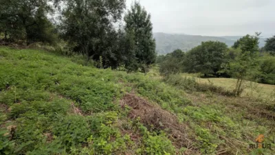 Rustic finca on Esles Street photo 6